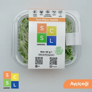 Mikro Yeşillik Ayçiçeği