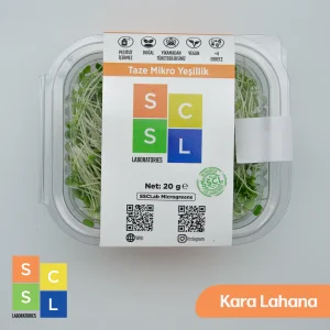 Mikro Yeşillik Kara Lahana