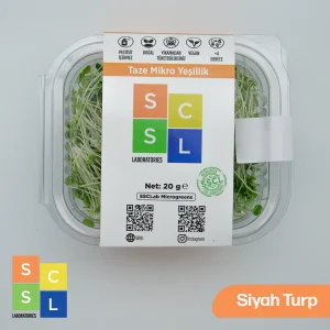 Mikro Yeşillik Siyah Turp