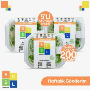 Mikro Yeşillik Aboneliği: Haftalık Gönderim