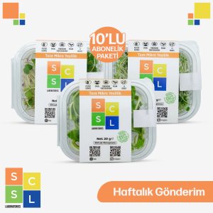 Mikro Yeşillik Aboneliği: Haftalık Gönderim