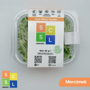 Mikro Yeşillik Mercimek